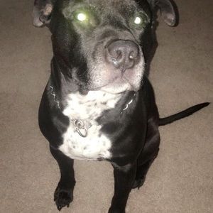 Meet your Posher, Kadeem